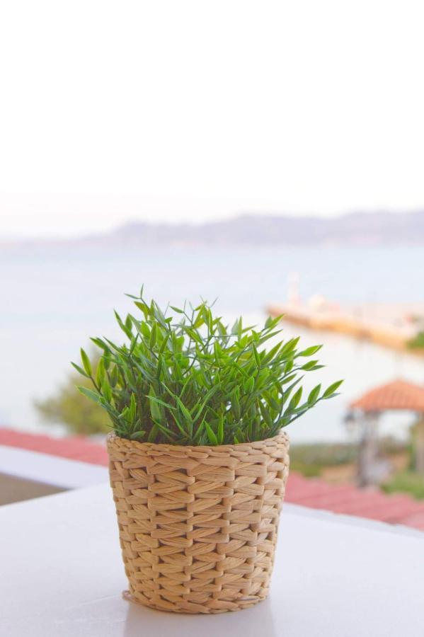 Апартаменты Saronic View Скала Экстерьер фото